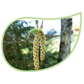 Helping Flowers (6) - Birke-0