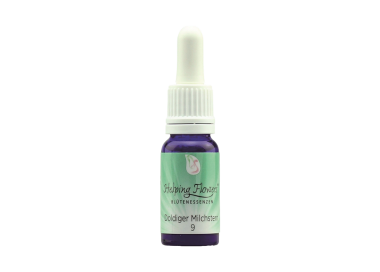 Helping Flowers (9) - Doldiger Milchstern