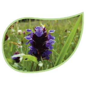 Helping Flowers (25) - Kleine Braunelle-0