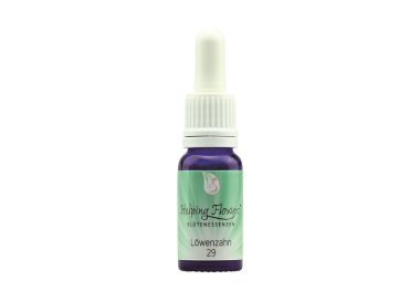 Helping Flowers (29) - Löwenzahn