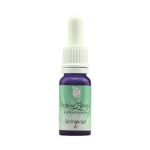 Helping Flowers (41) - Springkraut