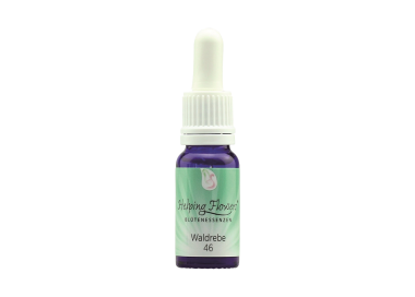 Helping Flowers (46) - Waldrebe