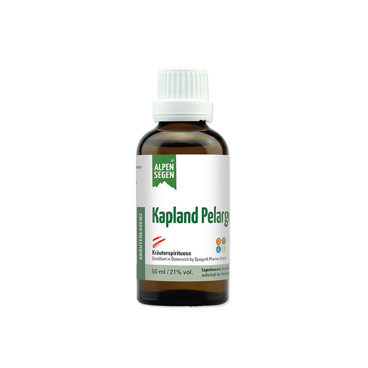 Alpensegen Kapland Pelargonie, 50 ml
