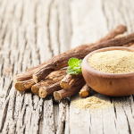 Süßholzwurzel (Glycyrrhiza glabra)