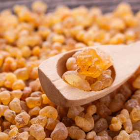 Weihrauch (Boswellia serrata)