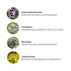 Impuls Lymphe + Haut Kräuterkomplex, 50 ml - Kräuter