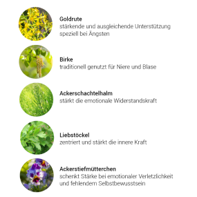 Loslassen Kräuterkomplex , 50 ml - Kräuter