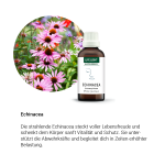 Alpensegen Echinacea (50 ml)