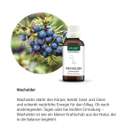 Alpensegen Wacholder, 50 ml - Kräuter