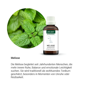 Alpensegen Melisse (Kräuter)