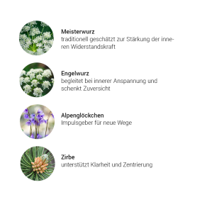 Alpensegen Kräuterkomplex Meisterkräuter (50 ml)