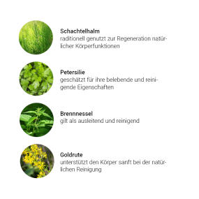 Alpensegen Impuls Niere + Blase Kräuterkomplex (50 ml)