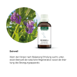 Alpensegen Beinwell (50 ml)