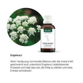 Alpensegen Engelwurz (50 ml)