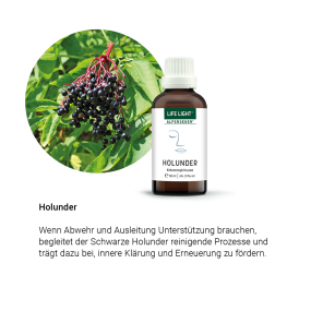 Alpensegen Holunder (50 ml)