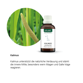 Alpensegen Kalmus (50 ml)