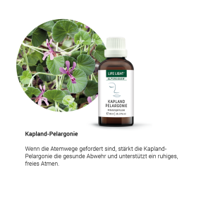 Alpensegen Kapland Pelargonie (50 ml)
