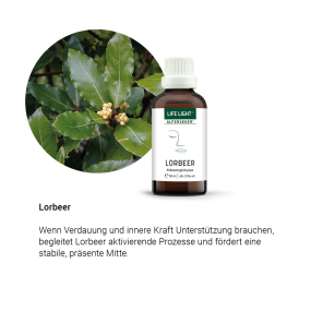 Alpensegen Lorbeer (50 ml)