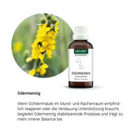Alpensegen Odermennig (50 ml)