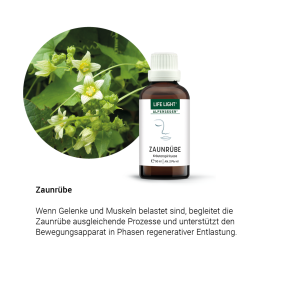 Alpensegen Zaunrübe (50 ml)