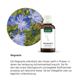 Alpensegen Wegwarte (50 ml)