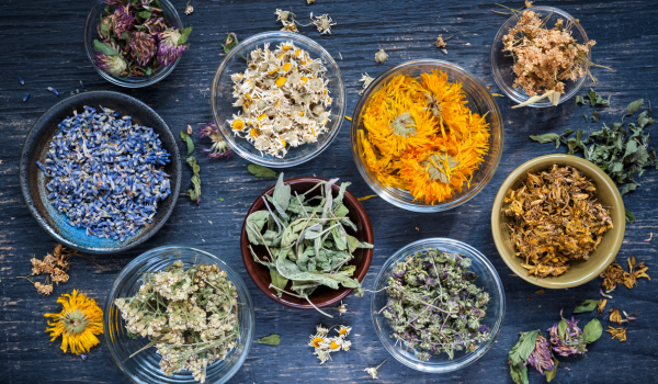 Kräuter in verschiedenen Varianten und Farben, die in Schüsseln auf einem Holzbrett stehen