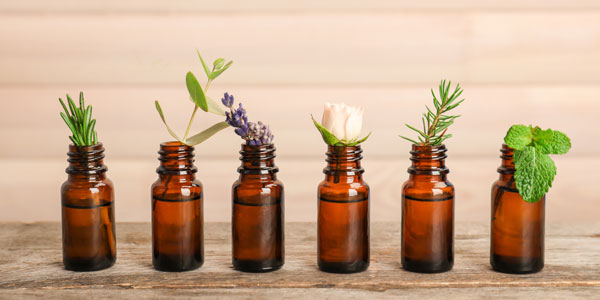 Einzelne Pflanzen-Ästchen, die in braunen Glasfläschchen nebeneinander aufgereiht sind