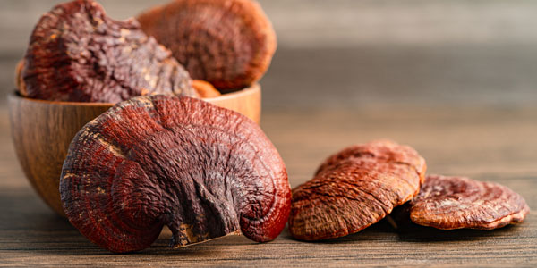 Getrocknete Pilze in einer Holzschüssel