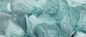 Kategorie Frauengesundheit