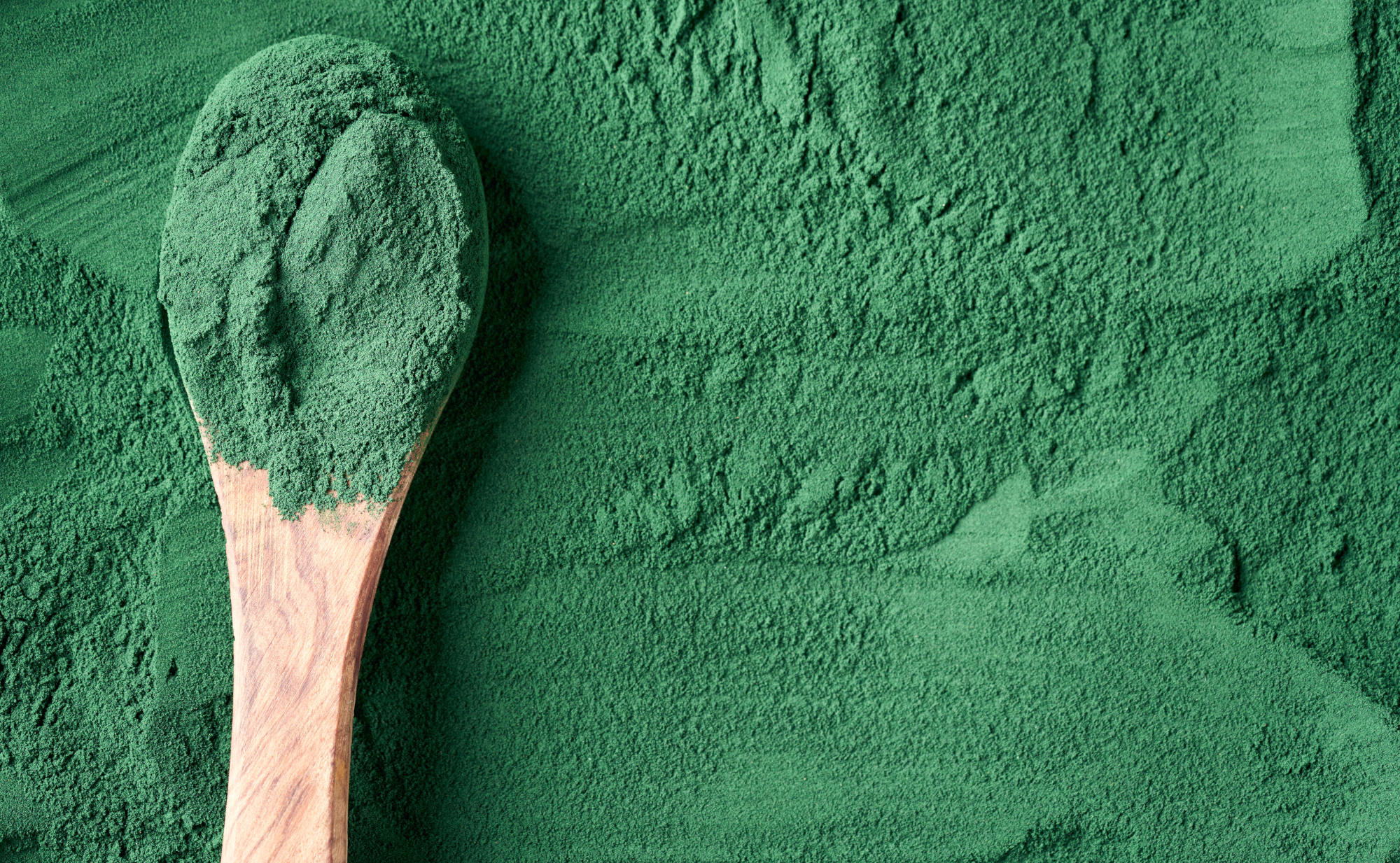 Ein Holzlöffel mit grünem Pulver, das Chlorella- oder Spirulina-Pulver sein könnte, liegt auf einem Hintergrund aus demselben Pulver. Die Textur des Pulvers ist fein und gleichmäßig. Ein Symbolfoto von LIFE LIGHT für die Kraft von Algen.
