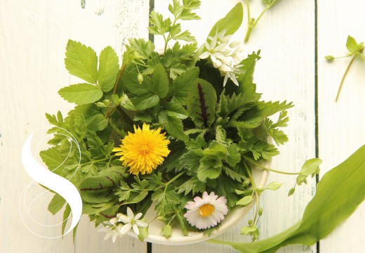 Naturapotheke am Teller: Wilde Heilkräuter für Salat, Suppe und Smoothies